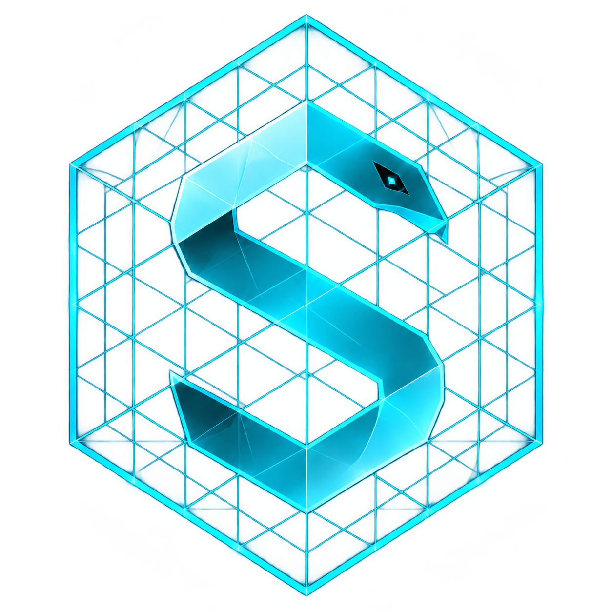 SHADOWNET logo